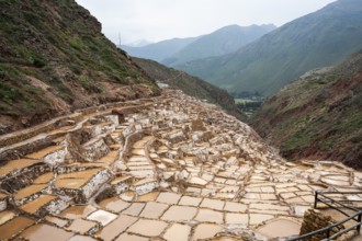 Inca salt pans of Maras, Maras, Peru, South America