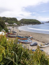 Natural Heritage Site Islotes de Punihuil, Punihuil, Chiloe, Chile, South America