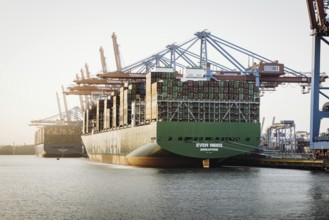 Shot of the Burchardkai container terminal with container ships from Evergreen, CMA, and HMM in the