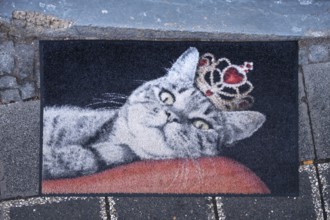 Cat with crown, picture on a doormat in front of a wool shop, Bavaria, Germany, Europe