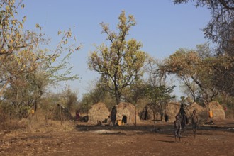 South Ethiopia, in the Maco National Park, in the village of the Mursi, Ethiopia, Africa