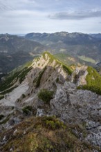 Mountain grade, Bayrischer Schinder, Tegernsee mountains in the Mangfall mountains, Germany, Europe