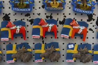 Fridge magnets, souvenir, souvenir, memory, travel, holiday, tourism, Scandinavia, Stockholm,