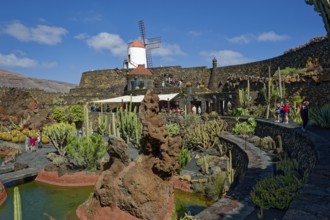 Cactus garden, Jardin de Cactus, designed by the artist César Manrique, behind the restored gofio