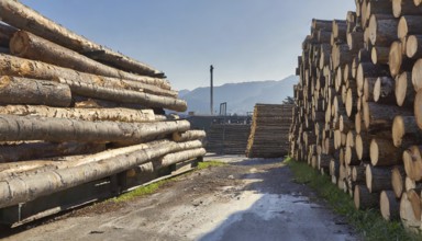 Forestry, timber industry, logs stacked in a sawmill, AI generated, AI generated