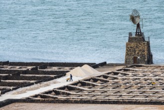 Sea salt extraction, Janubio salt works, Salinas de Janubio, Lanzarote, Canary Islands, Spain,