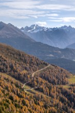 Krahberg on the Venet in autumn with yellow larches, Ötztal Alps, Tyrol, Austria, Europe