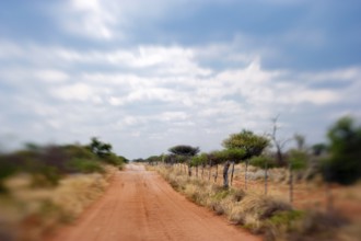 Sand track with red earth, analogue, blurred, blurred, road trip, journey, safari, holiday, nobody,