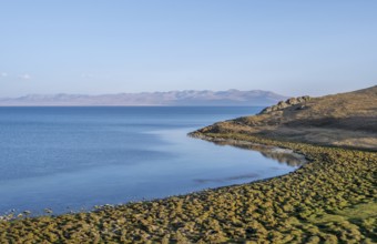 Highlands, Song Kul mountain lake, Naryn region, Kyrgyzstan, Asia