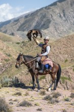 Traditional Kyrgyz eagle hunter with eagle in the mountains, hunting on horseback in front of dry