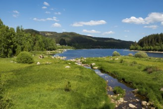 Lake and mountains in summer, Schluchsee, Black Forest, Baden-Württemberg, Germany, Europe