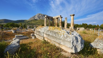 Archaic Temple of Apollo, Doric columns, Extensive ancient site with column remains, surrounded by