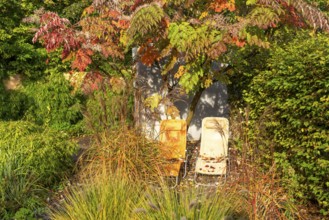 Model gardens in Grugapark, autumn, horticultural design of different gardening styles Essen, North