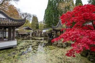 The Botanical Garden of the Ruhr-University Bochum, in the district Bochum-Querenburg, North