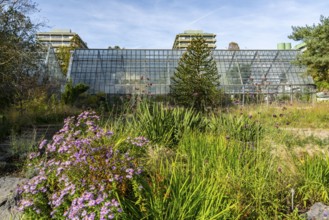 The Botanical Garden of the Ruhr University Bochum, in the district of Bochum-Querenburg, North