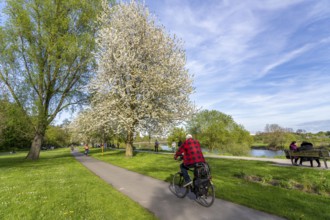 Section of the Ruhr Valley cycle path along the Ruhr, near Essen-Steele, North Rhine-Westphalia,