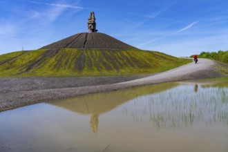 Cyclist on the Rheinelbe spoil tip in Gelsenkirchen, 100 metre high spoil tip, landscape park, with