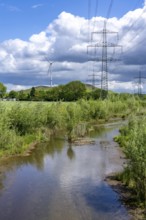 Boyetal-Ost landscape conservation area, flood meadows, lower course of the Boye, stream, runs