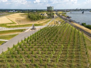 The Rheinpark in Duisburg-Hochfeld, on the Rhine, over 150 years a site for heavy industry, now a