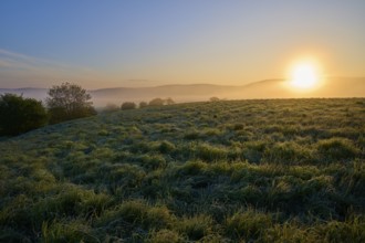 Sunrise over a misty hilly landscape with green meadow and trees in a peaceful atmosphere,