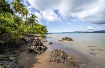 Tropical beach, South Pacific, Osa Peninsula, Punterenas Province, Costa Rica, Central America