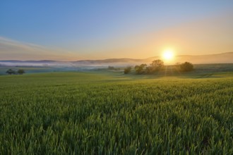 A picturesque sunrise over a wide green field and a gentle hilly landscape, Mönchberg, Mltenberg,