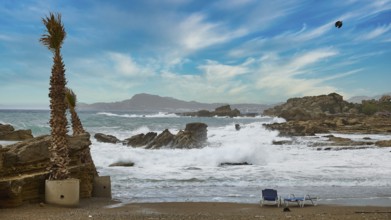 Sky replaced, Beach landscape with waves, rocks, a palm tree and a vast sky with clouds, Oasis