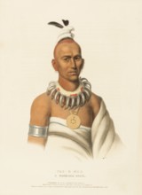 Tai-O-Mah. A Musquakee Brave (1838), Native American, Historical Native American tribes from North