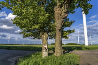 Neurath lignite-fired power station, RWE Power AG, wind farm partly owned by RWE, Grevenbroich,