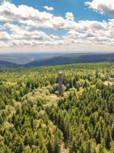 Single observation tower in the middle of a large forest, surrounded by green areas and a partly