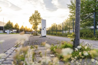 A roadside electric charging station surrounded by flowering plants and urban surroundings at