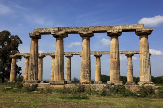 Metaponto, Metaponte, Doric hera temple, Tavole Palatine, Basilicata, Italy, Europe