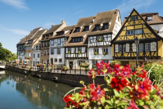 Picturesque colourful half-timbered houses, La Petite Venise, Colmar, Alsace, Bas-Rhin, France,