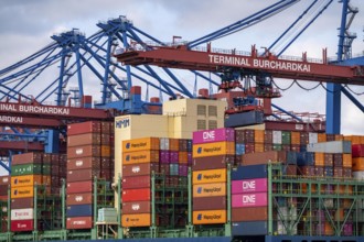 HMM Nuri container freighter, at HHLA Container Terminal Burchardkai, in Waltershofer Hafen, being