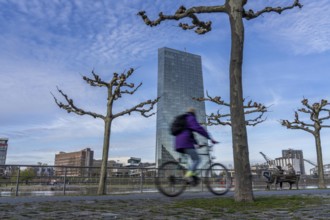 Building of the European Central Bank, ECB, cycle path on the Main in Frankfurt, Hesse, Germany,