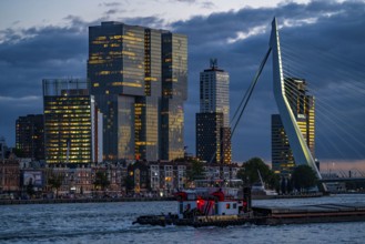 The skyline of Rotterdam, with the Erasmus Bridge over the Nieuwe Maas, skyscrapers in the Kop van