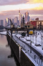 The skyline of Frankfurt am Main, skyscrapers of the banking district, historic harbour cranes at