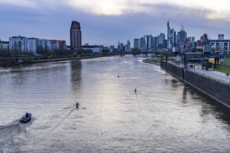 Skyline of Frankfurt am Main, skyscrapers, business and banking district in the city centre, rowing