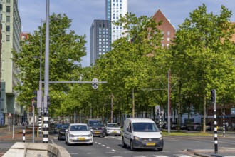 Urban greening, inner-city street Laan op Zuid, in Rotterdam's Feijenoord district, 4 lanes, 2 tram