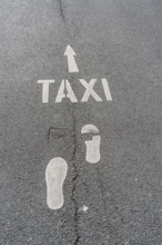 Logo, pictogram, footpath to a taxi rank, at the main railway station, Wuppertal, North