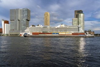 Rotterdam, skyline at the Nieuwe Maas, skyscrapers at the Kop van Zuid district, cruise ship Aida