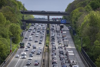 The A3 motorway, heavy traffic on 8 lanes, including the temporarily open hard shoulder, in front