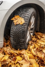 Driving on autumn leaves, slippery surfaces, leaves, grip from winter tyres