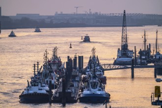 Evening shipping traffic on the Elbe, near Övelgönne, tug harbour, Hamburg, Germany, Europe