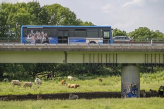 Shuttle bus of the University of Duisburg-Essen, shuttles between the two campuses of the