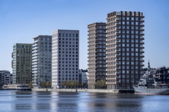 Kattendijkdok, harbour basin, high-rise residential buildings, apartment buildings, old harbour