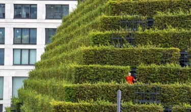 Green façade, made of over 30, 000 hornbeams forming a hedge a good 8 kilometres long, on the roof