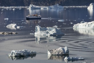 Expedition cruise ship between icebergs, Scoresbysund or Kangertittivaq in Greenlandic, the largest