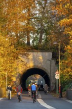 The Nordbahntrasse, a cycle path, footpath, on a former 22 KM long railway line, along the