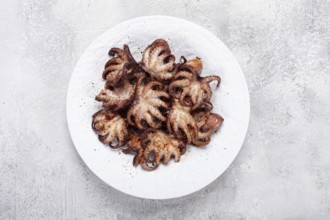 Baby octopus grilled on a white plate, homemade, no people